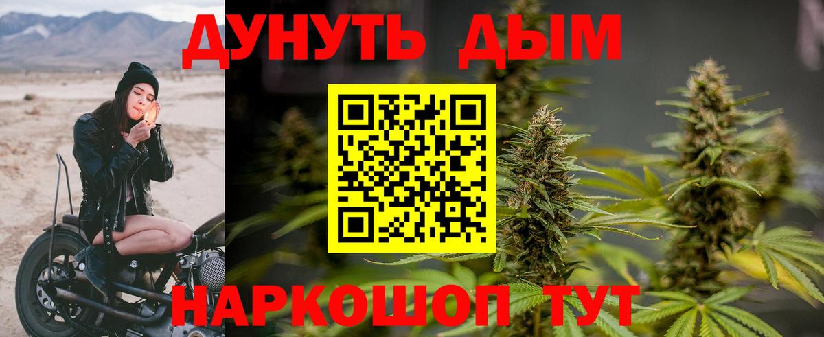 Каннабис Amnesia Ноябрьск